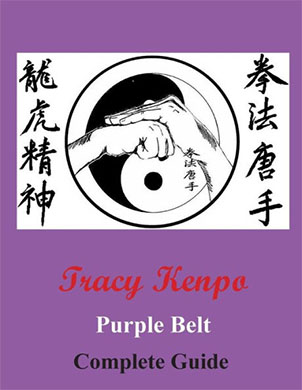 Tracy Kenpo Purple Belt Complete Guide